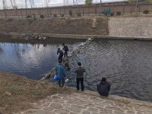 2019年豐臺區環境監測報告出爐 生態環境穩步改善，生態監測成效凸顯